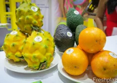 Ecuador's export products, including yellow pitahaya and avocado.