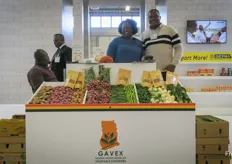 GAVEX, the Ghana Association of Vegetable Exporters.