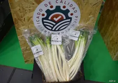 Not spring onions; long white onions from Pinchincha in Ecuador.