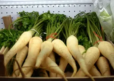 Bushels of large, white carrot varieties. 