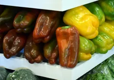 Bi-colored bell peppers from Italy's EverGreen Group