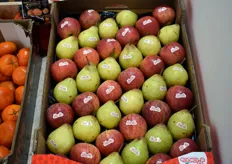 Grupo Luis Vincente makes it easy to compare apples and pears. 