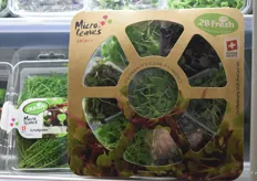 No more separate containers, 2BFresh has a micro-greens mix combo pack.