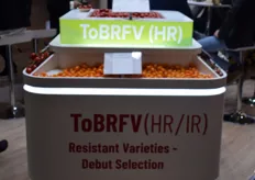 Several breeders have succeeded in making tomato varieties ToBRFV resistant, including Harmoniz.