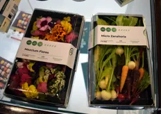 These mixed micro vegetables and mesclun flower mixes from Germinarte are works of art.