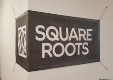 First stop on the tour was Square Roots - an urban greenhouse company that grows produce in shipping containers in a parking lot at an old Phizer factory in Williamsburg.