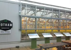 Gotham Greens has an urban greenhouse on the roof of the Whole Foods store at 3rd Avenue, Brooklyn. The two companies have formed a partnership at this location.
