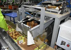 The machine waits until it can fill a full carton, after which the kiwis are dropped.