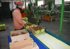 The final check before the cartons are being piled onto a pallet.
