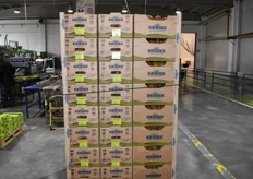 These less colorful boxes are meant for the United Kingdom, where they prefer the brown cartons. They are more easily to recycle and thus better for the environment.