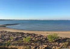 The Australian Mango Conference 2019 location: Pee Wee's at the Point, overlooking the Darwin skyline.
