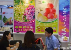 Shaanxi Hovo import and export Co., Ltd. in a meeting with a client. Main products for export are grapes, apple, mandarin, potatoes etc.
