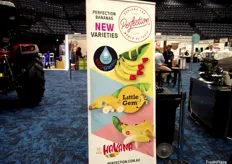 Perfection Fresh recently launched three new banana brands into the market