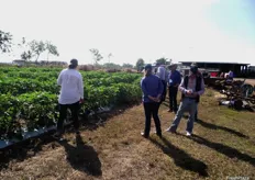 Delegates taking a tour of an Asian vegetable farm just outside Darwin