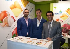 Asharaf M El-Seihi, Ahmed El-Seihi and Ahmed M Badawy from MAPC.