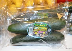 A successful new product at SunFed that's available year-round: 2 ct. organic cucumbers in modified atmosphere wrap. The wrap keeps the product fresh longer. Also available in organic squash and organic green bell peppers. 