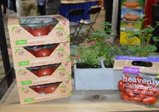 Last year, Village Farms launched Sensational Sara, a petite TOV that is bright red through and through. The cardboard packaging is recyclable and compostable.