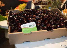 Davis Worldwide brough along some late season Chilean cherries, they are trying to bridge the gap between the northern and southern hemisphere supply.