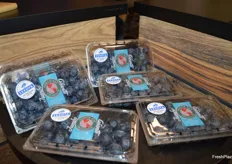 New Mexico-grown Sekoya® blueberries on display at the North Bay Produce booth.
